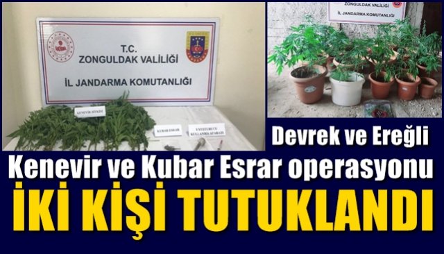 Devrek ve Ereğli’de kenevir ve esrar operasyonu… İKİ KİŞİ TUTUKLANDI