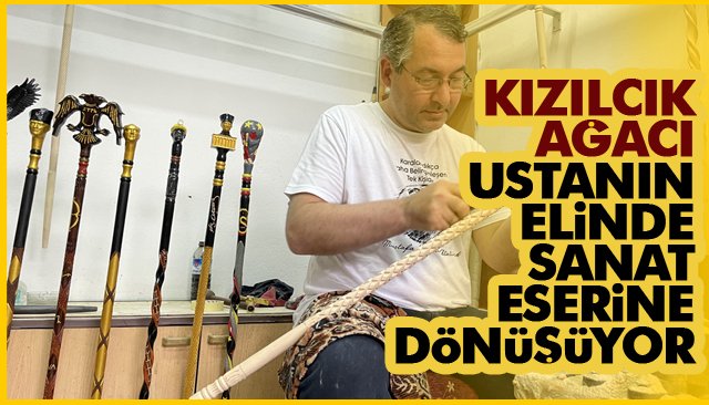 KIZILCIK AĞACI, USTANIN ELİNDE SANAT ESERİNE DÖNÜŞÜYOR 