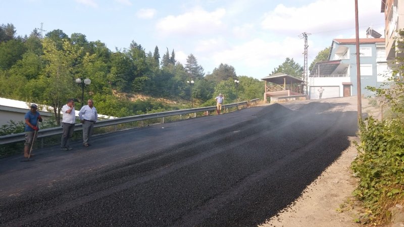 Ormanlı’da asfalt çalışmaları başladı - 1