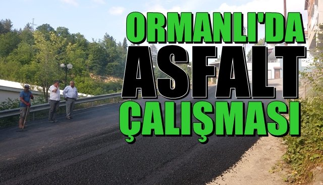 Ormanlı’da asfalt çalışmaları başladı 