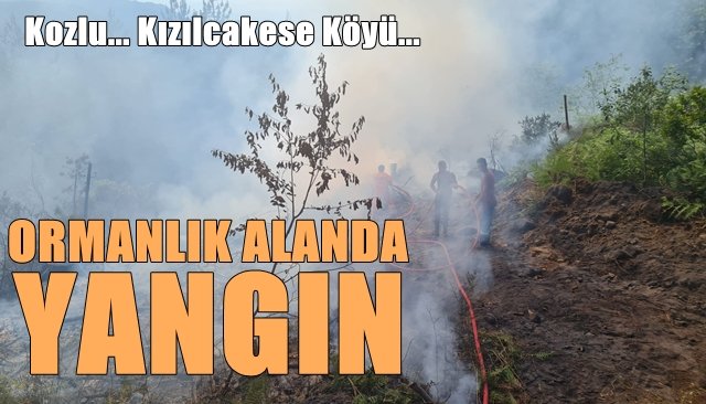 ORMANLIK ALANDA YANGIN