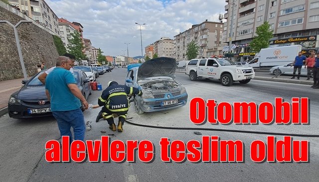 Otomobil alevlere teslim oldu