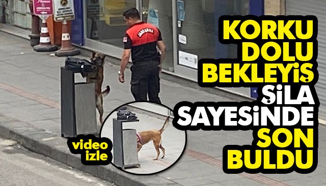JANDARMANIN GÖZ BEBEĞİ, OLAYI HALLETTİ!