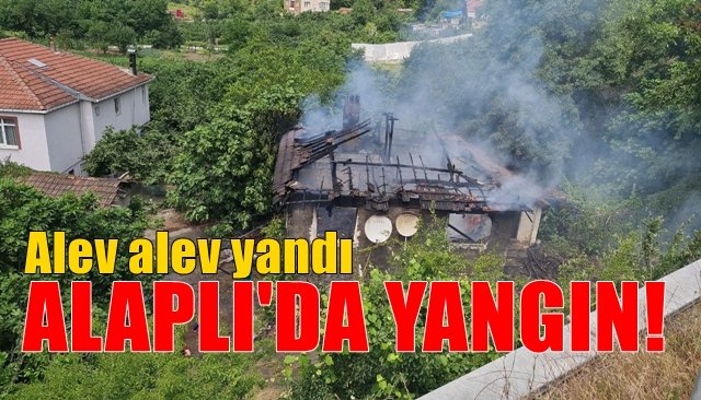 Tek katlı ev alev alev yandı