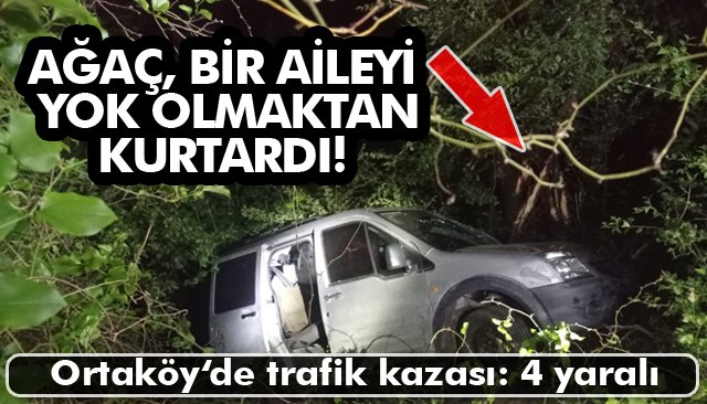 AĞAÇ, BİR AİLEYİ YOK OLMAKTAN KURTARDI!