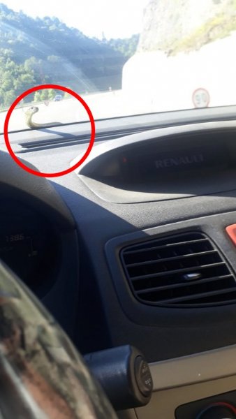 BİRANDA KARŞISINA ÇIKTI! - 1