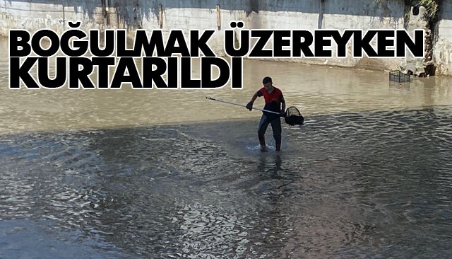 BOĞULMAK ÜZEREYKEN KURTARILDI