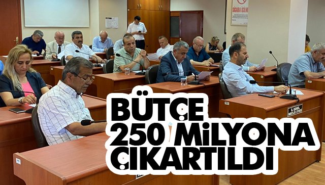 BÜTÇE 250 MİLYONA ÇIKARTILDI