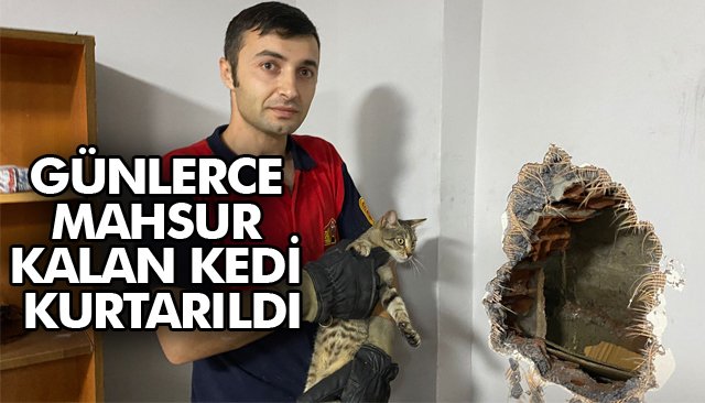 GÜNLERCE MAHSUR KALAN KEDİ KURTARILDI