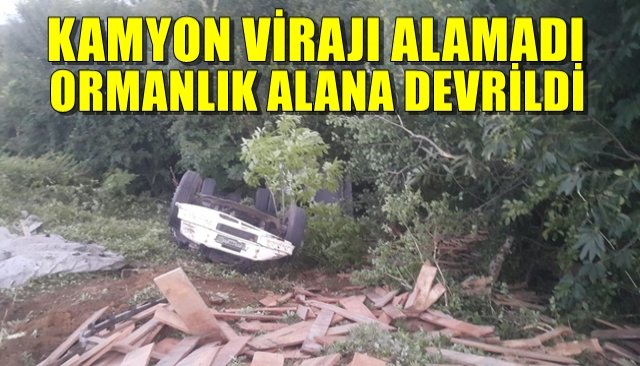 KAMYON VİRAJI ALAMADI, ORMANLIK ALANA DEVRİLDİ