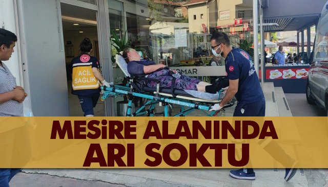 MESİRE ALANINDA ARI SOKTU