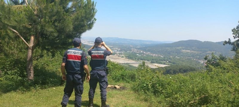 ORMAN YANGINI TEYAKKUZU - 2