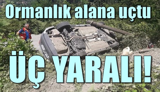 ORMANLIK ALANA UÇTU… 3 YARALI