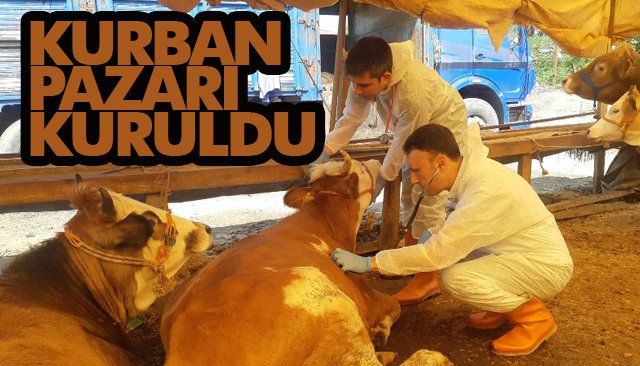 PAZAR KURULDU, DENETİMLER YAPILYOR