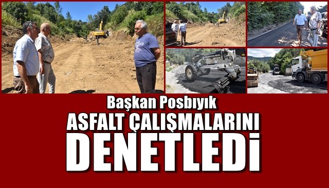 Posbıyık çalışmaları denetledi