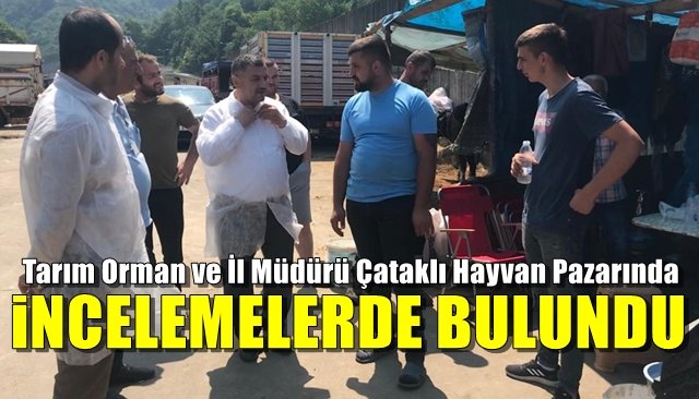 Tarım Orman ve İl Müdürü Çataklı Hayvan Pazarında… İNCELEMELERDE BULUNDU