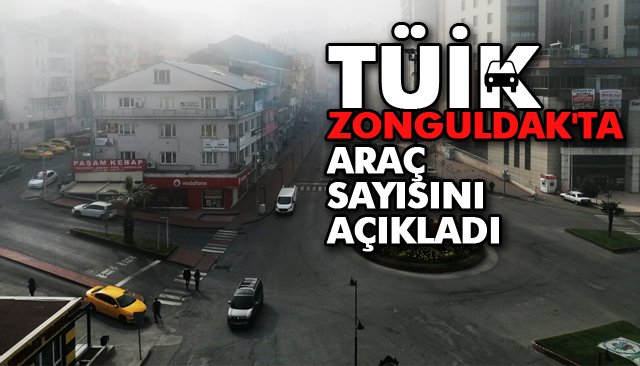 TÜİK, ZONGULDAK´TA ARAÇ SAYISINI AÇIKLADI 