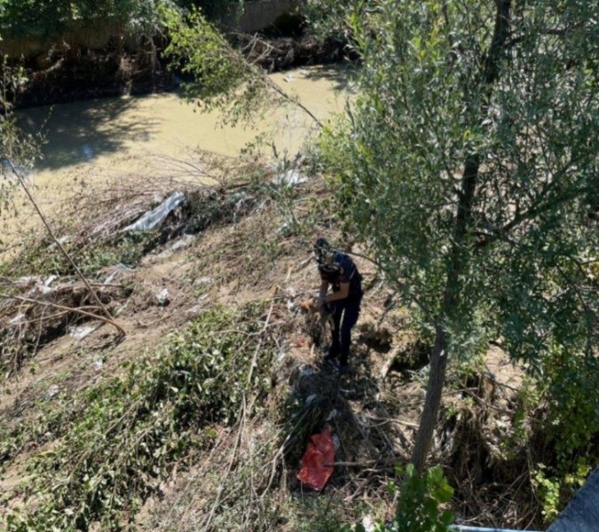 Yavru köpekleri annelerine kavuşturdular - 1