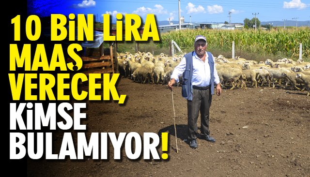 10 BİN LİRA MAAŞ VERECEK, KİMSE BULAMIYOR! 