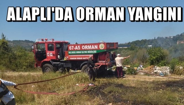 Alaplı´da orman yangını