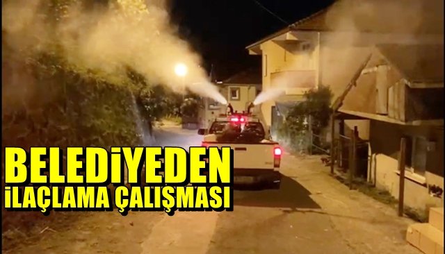 Belediyeden ilaçlama çalışması