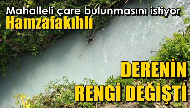 Derenin rengi değişti…