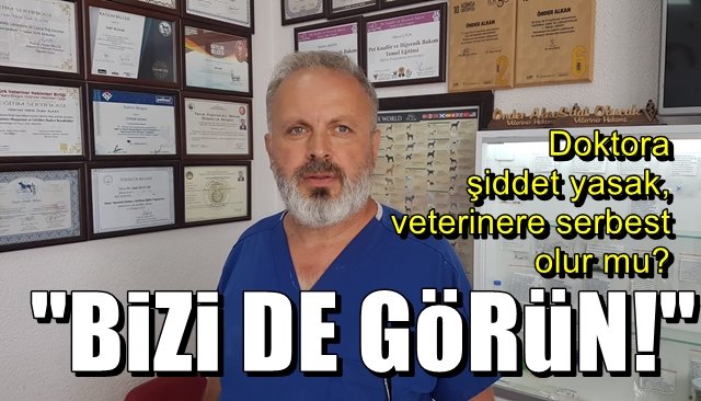 Doktora şiddet yasak, veterinere serbest olur mu? “BİZİ DE GÖRÜN!”