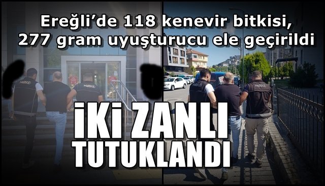 Ereğli’de 118 kenevir bitkisi, 277 gram uyuşturucu ele geçirildi… İKİ ZANLI TUTUKLANDI