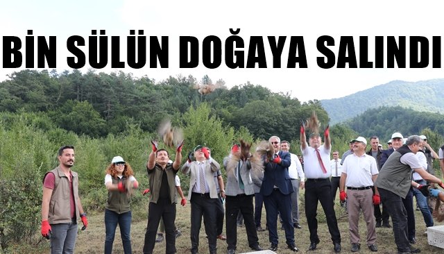 Ereğli´de bin sülün doğaya salındı