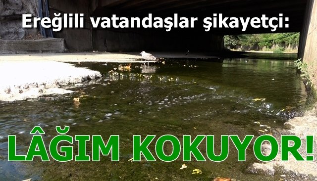 Ereğlili vatandaşlar şikayetçi… LAĞIM KOKUYOR!