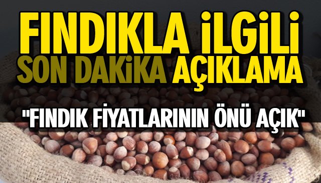 FINDIK FİYATI YÜKSELME TRENDİNDE 