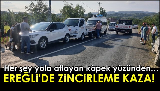 Her şey yola atlayan köpek yüzünden… EREĞLİ’DE ZİNCİRLEME KAZA!