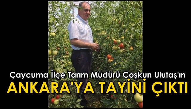 İlçe Tarım Müdürü’nün tayini çıktı