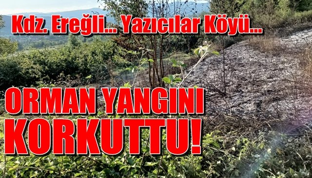 Kdz. Ereğli… Yazıcılar Köyü… ORMAN YANGINI KORKUTTU