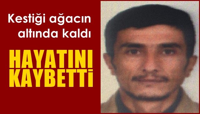 Kestiği ağacın altında kalan orman işçisi hayatını kaybetti