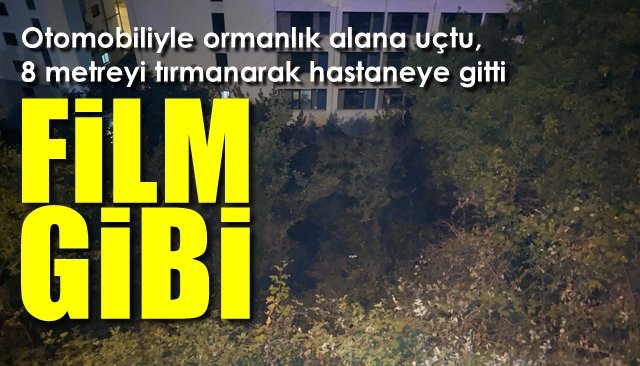 Otomobiliyle ormanlık alana uçtu, 8 metreyi tırmanarak hastaneye gitti… FİLM GİBİ