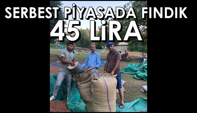 Serbest piyasada fındık 45 lira