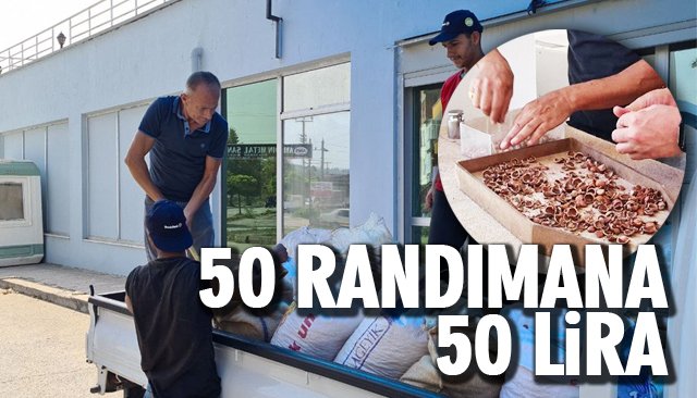 TMO KABUKLU FINDIK ALIMINA BAŞLADI 