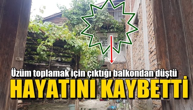 Üzüm toplamak için balkona çıkmıştı… DÜŞEREK HAYATINI KAYBETTİ 