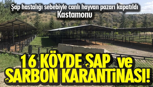 16 KÖYDE ŞAP VE ŞARBON KARANTİNASI!