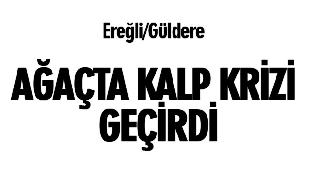 AĞAÇTA KALP KRİZİ GEÇİRDİ