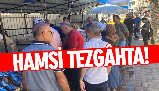 HAMSİ TEZGÂHTA!