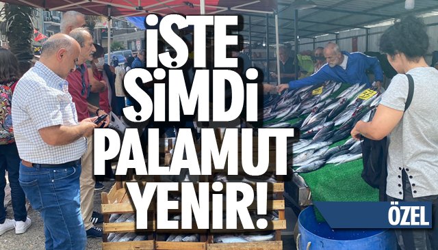 İŞTE ŞİMDİ PALAMUT YENİR!