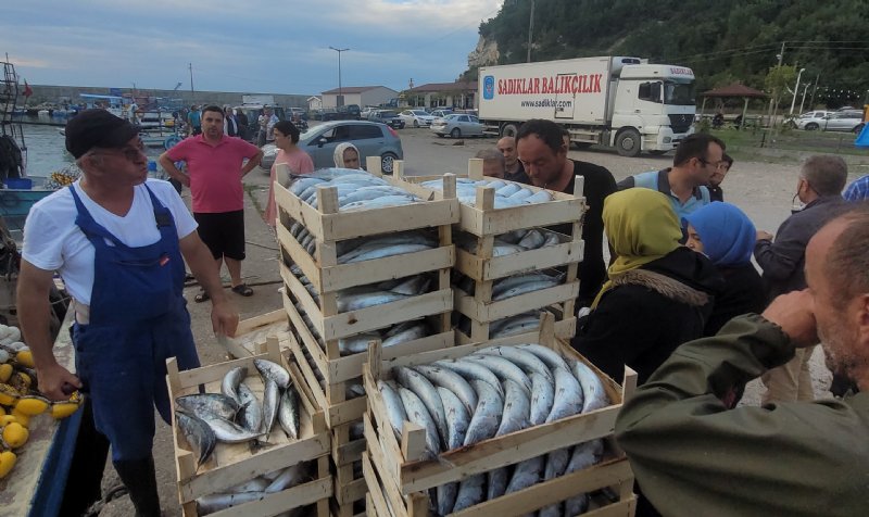 KASA KASA PALAMUTLA DÖNDÜLER, VATANDAŞA ÜCRETSİZ VERDİLER  - 2