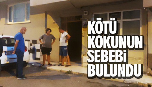 KÖTÜ KOKUNUN SEBEBİ BULUNDU