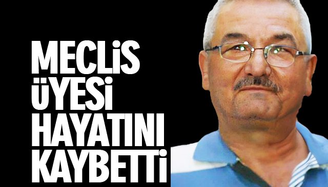 MECLİS ÜYESİ HAYATINI KAYBETTİ