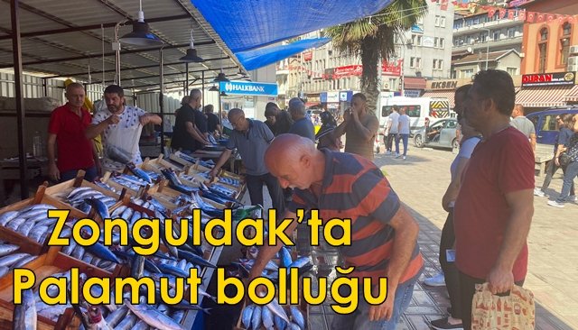 Zonguldak’ta Palamut bolluğu