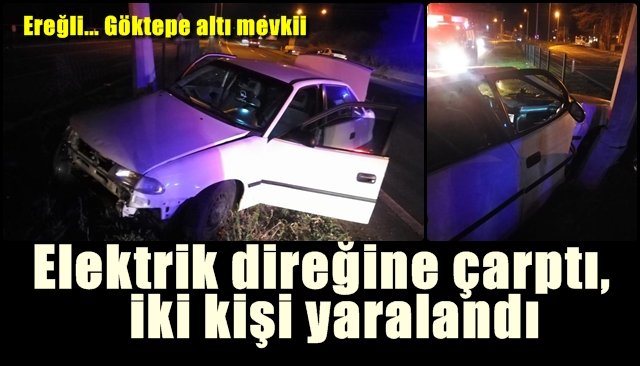 Elektrik direğine çarptı, iki kişi yaralandı