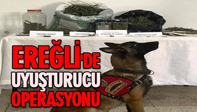 EREĞLİ´DE UYUŞTURUCU OPERASYONU