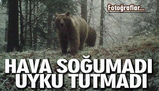 HAVA SOĞUMADI UYKU TUTMADI